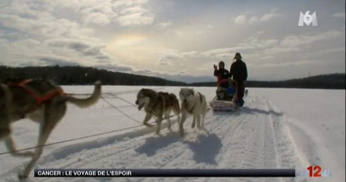 expédition à chiens de traîneaux association Sourire à la Vie